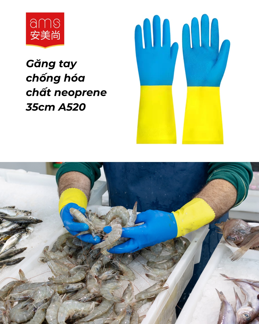 Găng tay Ams chống Axit - Kiềm bằng cao su Chloropren Neoprene xăng dầu model: A520