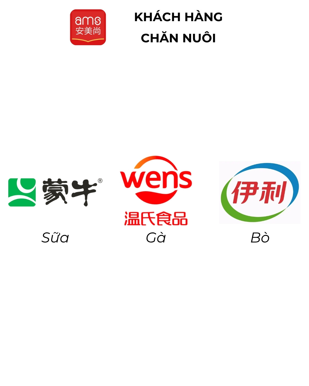 brand_2_title