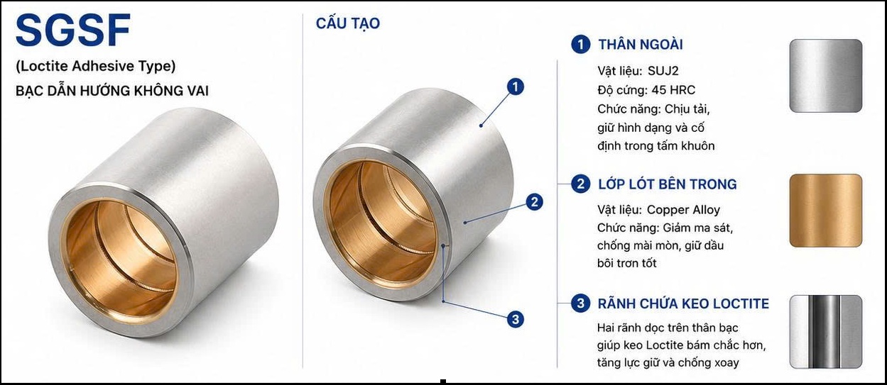 cấu tạo SGSF