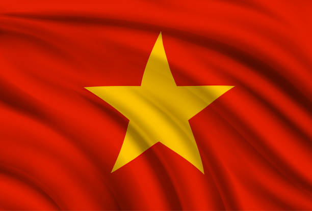 Visa Việt Nam (Evisa)