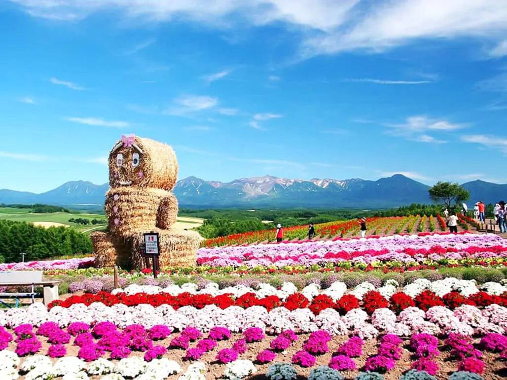 DU LỊCH NHẬT BẢN: HOKKAIDO – TOKYO (2025)