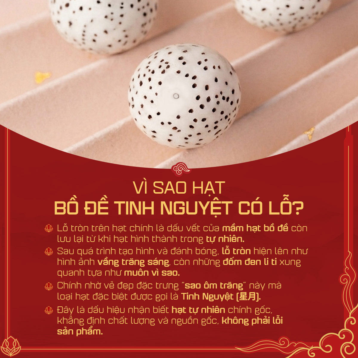Vòng Tay Bồ Đề Tinh Nguyệt Tự Nhiên - 10mm