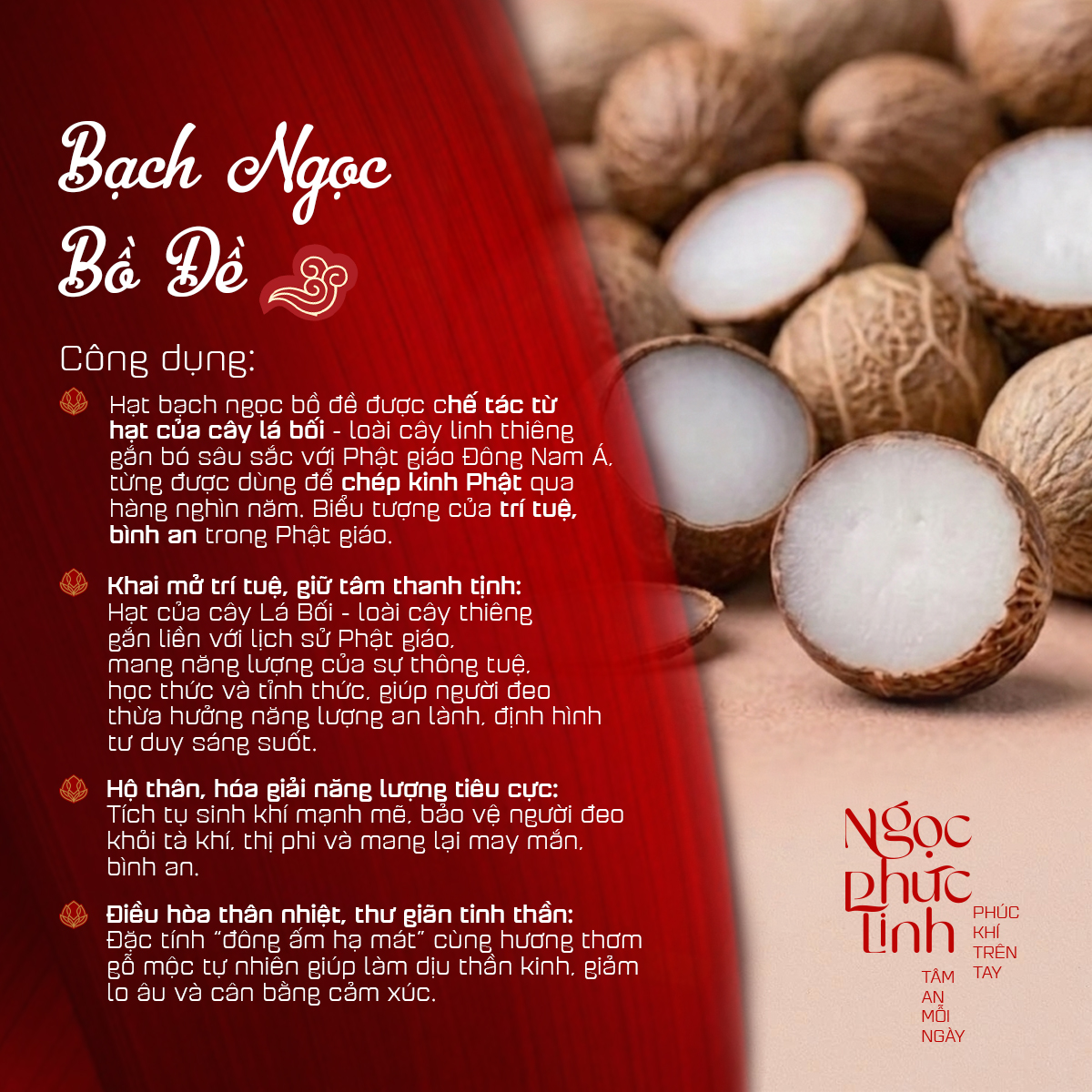 Vòng Tay Bạch Ngọc Bồ Đề Trắng Lu 12mm