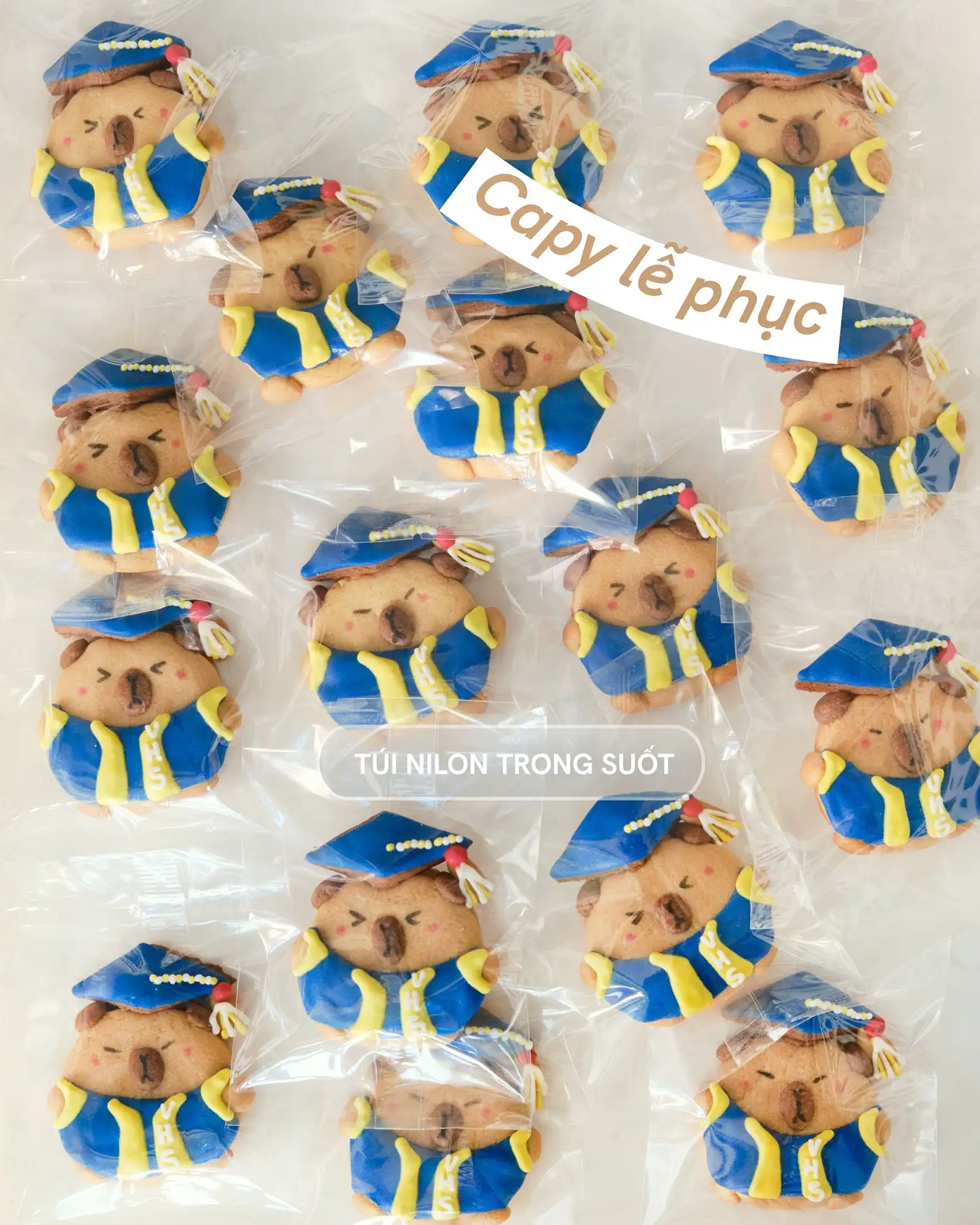 Quà đáp lễ Tốt nghiệp - Mẫu lễ phục