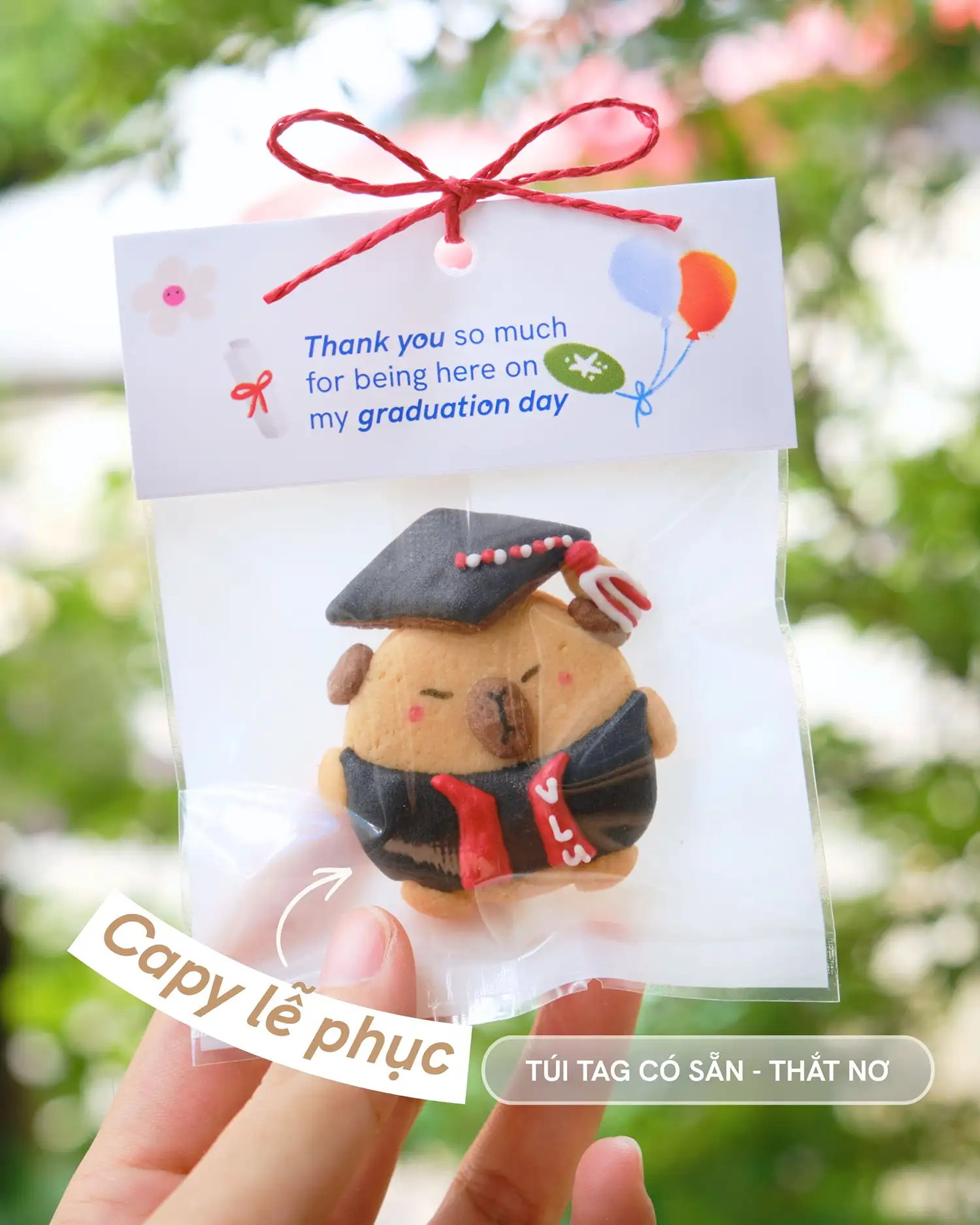 Quà đáp lễ Tốt nghiệp - Mẫu lễ phục