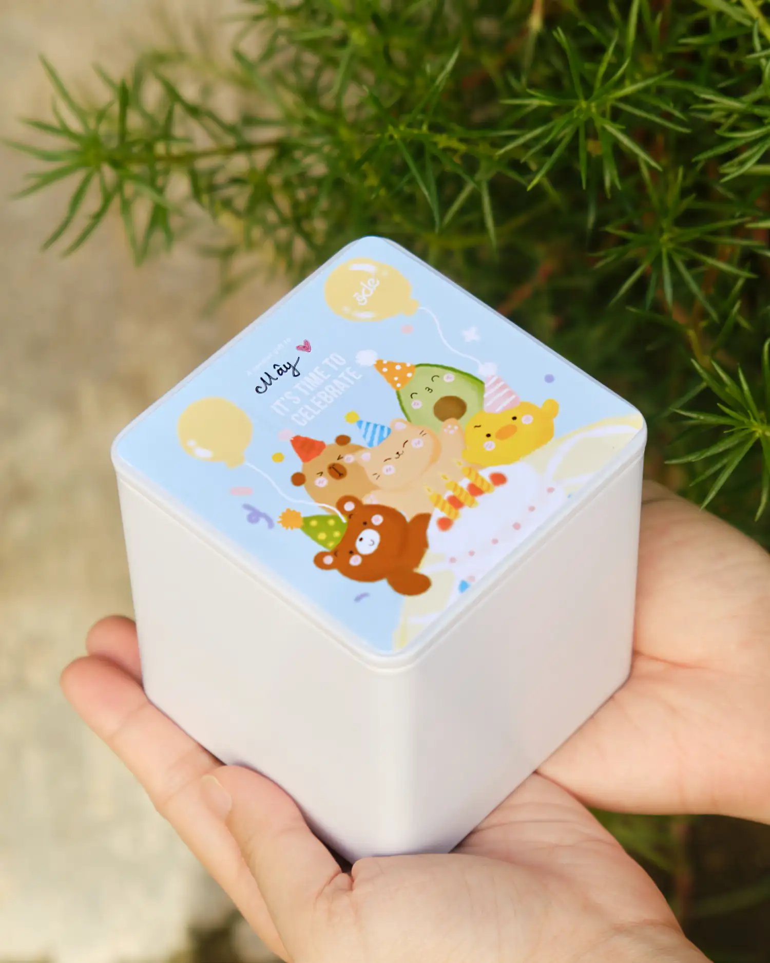 Hộp bánh quy Dreamy
