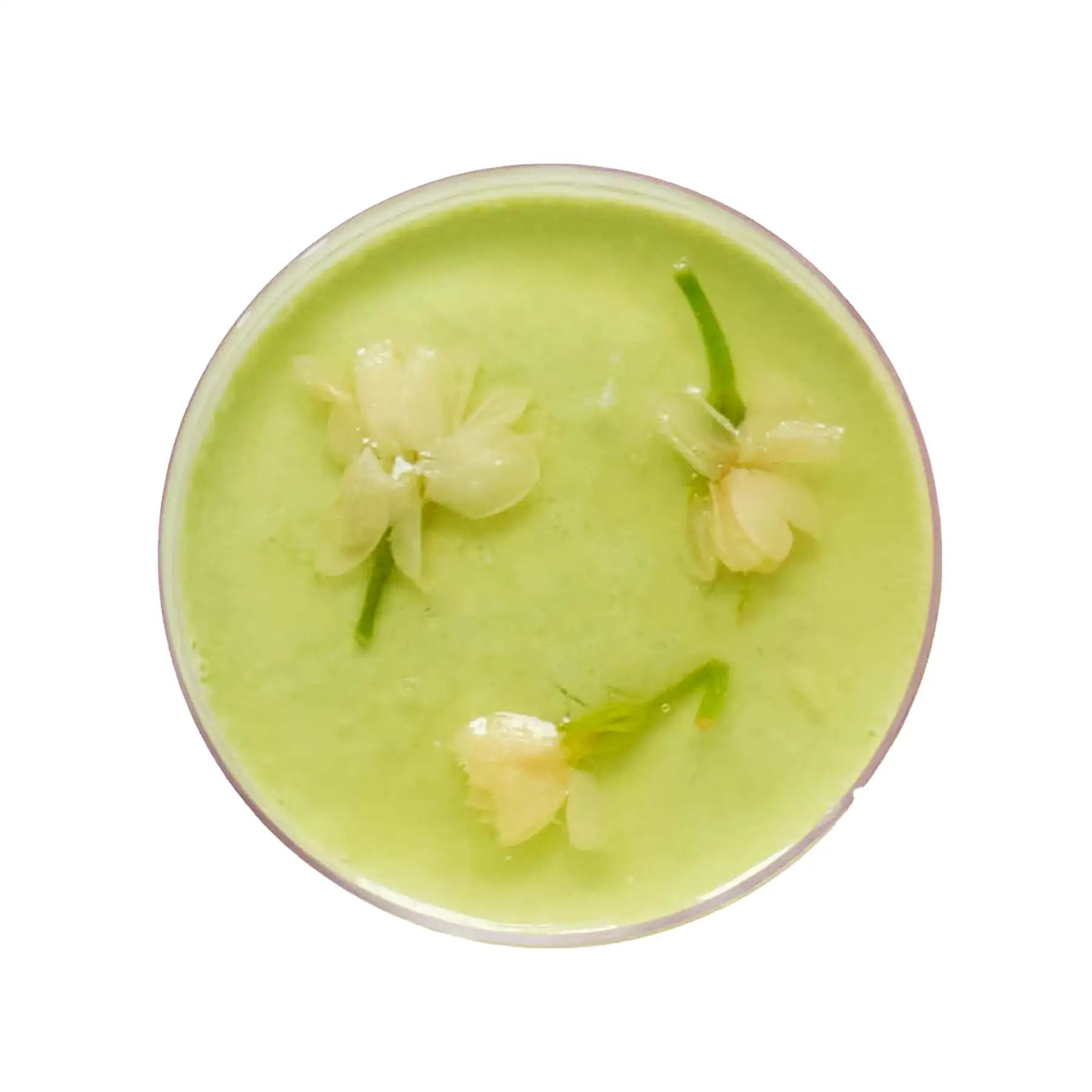 Bánh Mousse