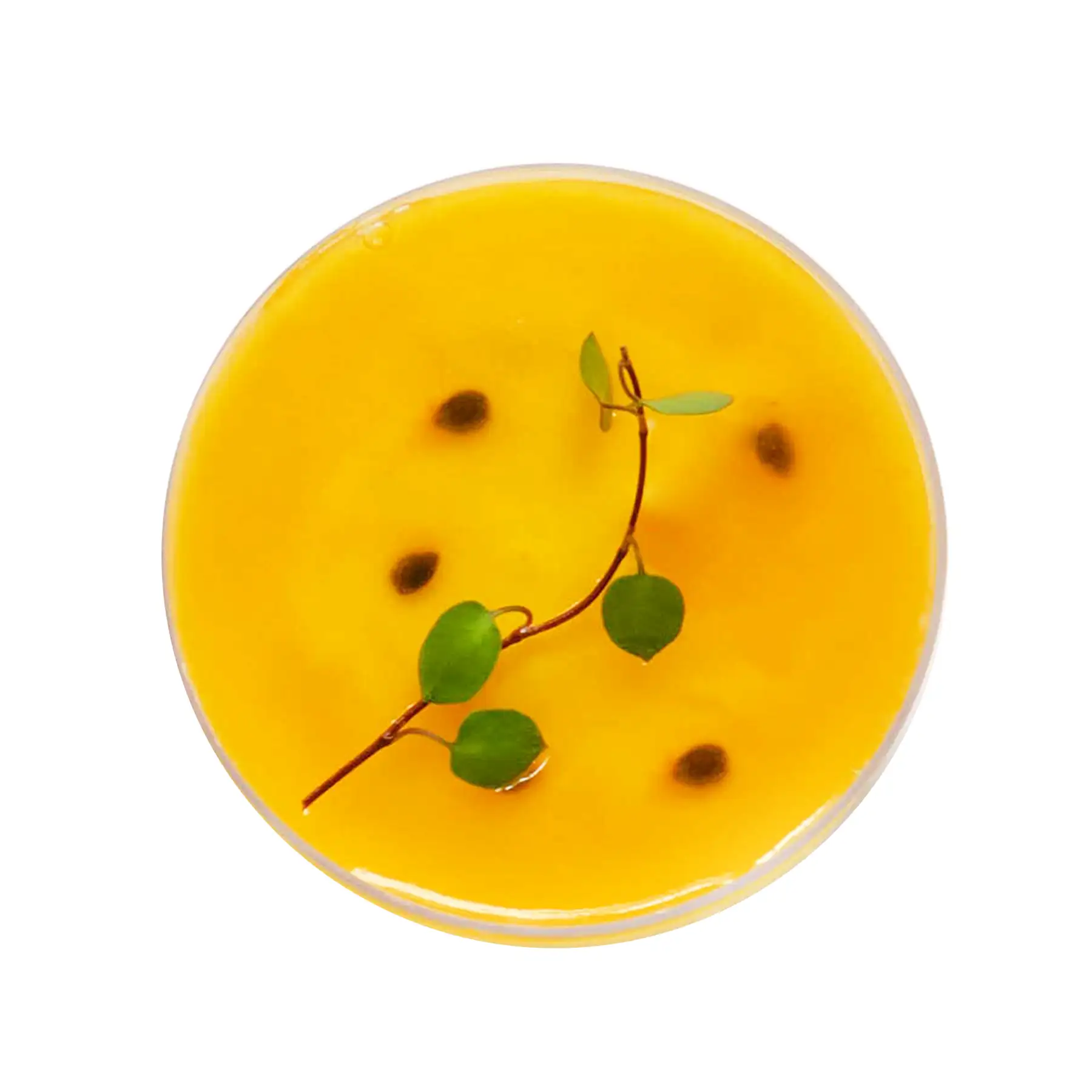 Bánh Mousse