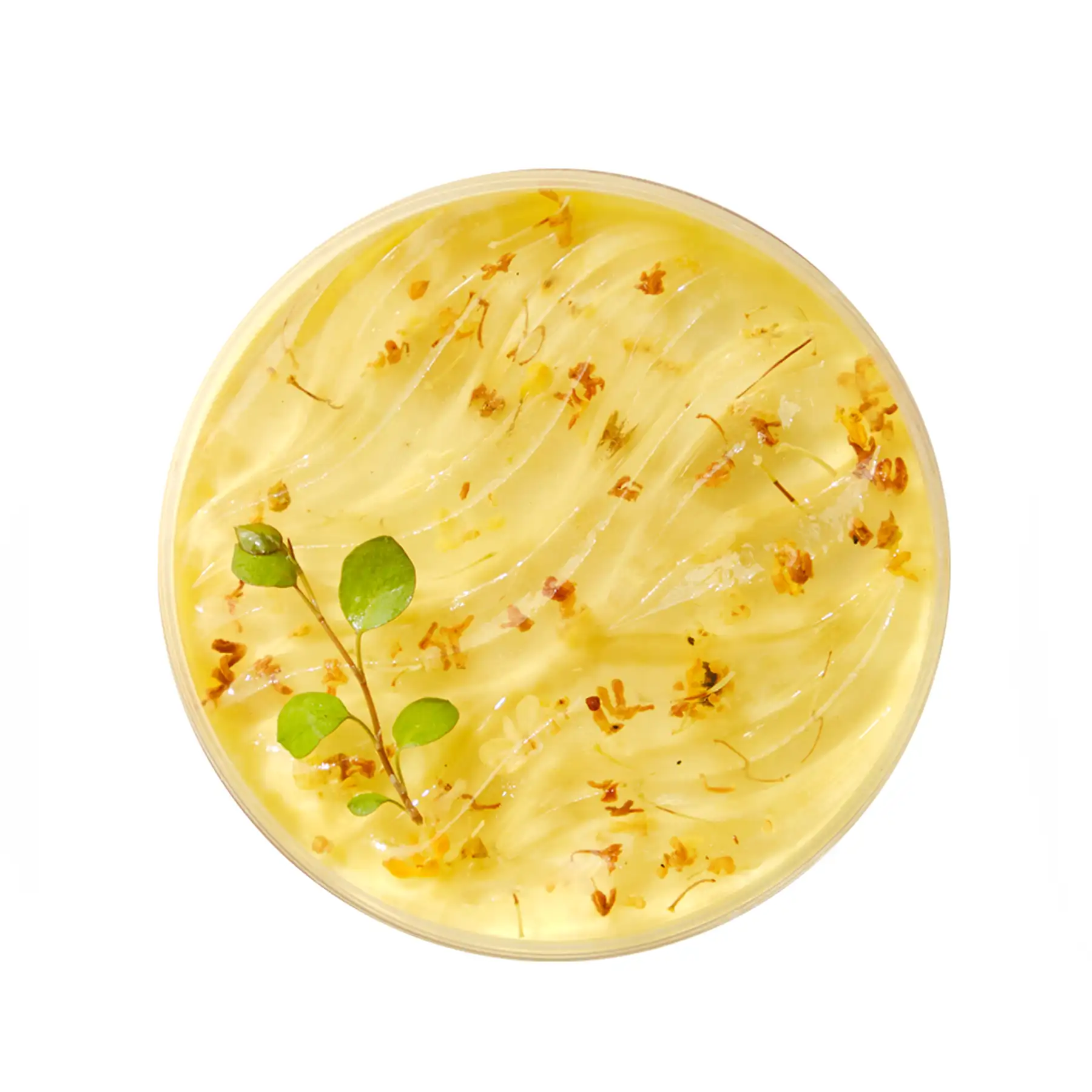Bánh Mousse