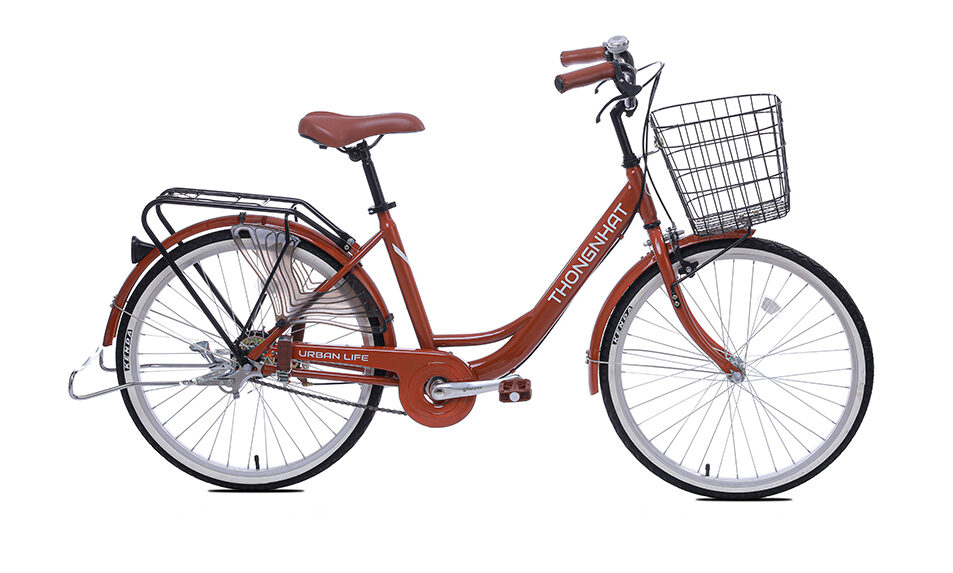 Xe đạp Thống Nhất LD 24-01_2023
