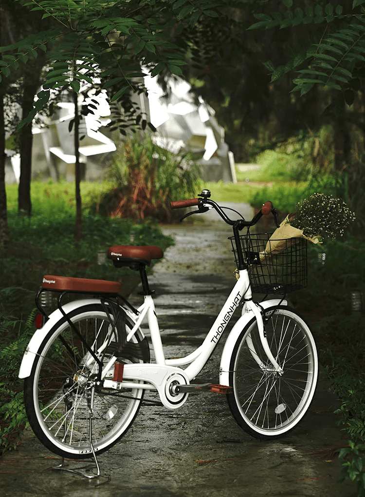 Xe đạp phổ thông