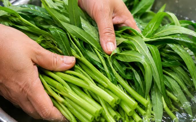 Rau muống - rau xanh quốc dân với vô vàn lợi ích cho sức khỏe