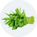 Danh mục Rau cao cấp