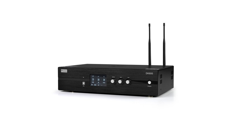 Amply  DK600
