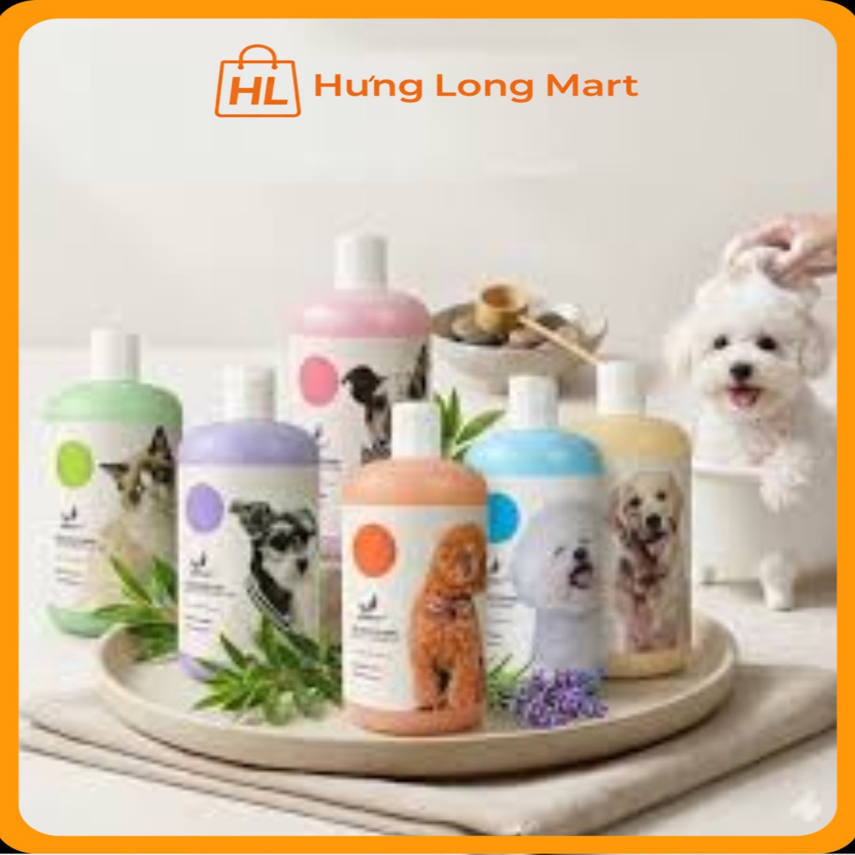 sữa tắm dorrykey