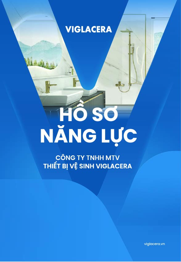 Hồ sơ năng lực Viglacera