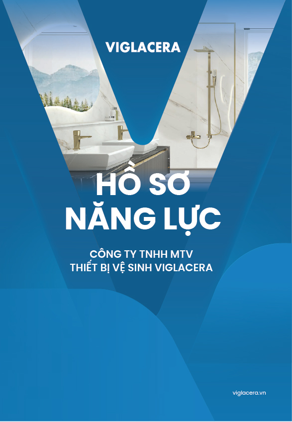 Hồ sơ năng lực Viglacera