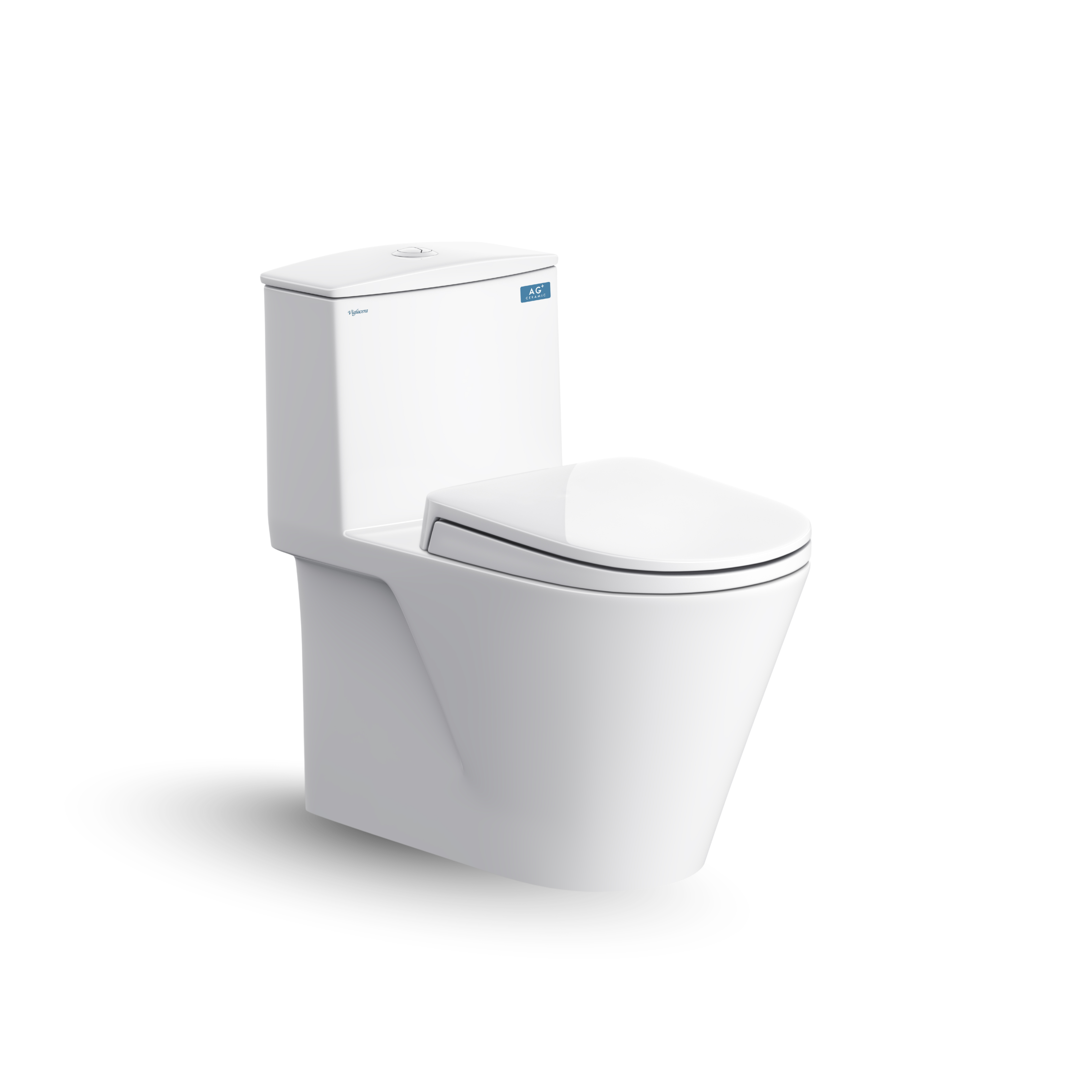 Bàn cầu một khối V817