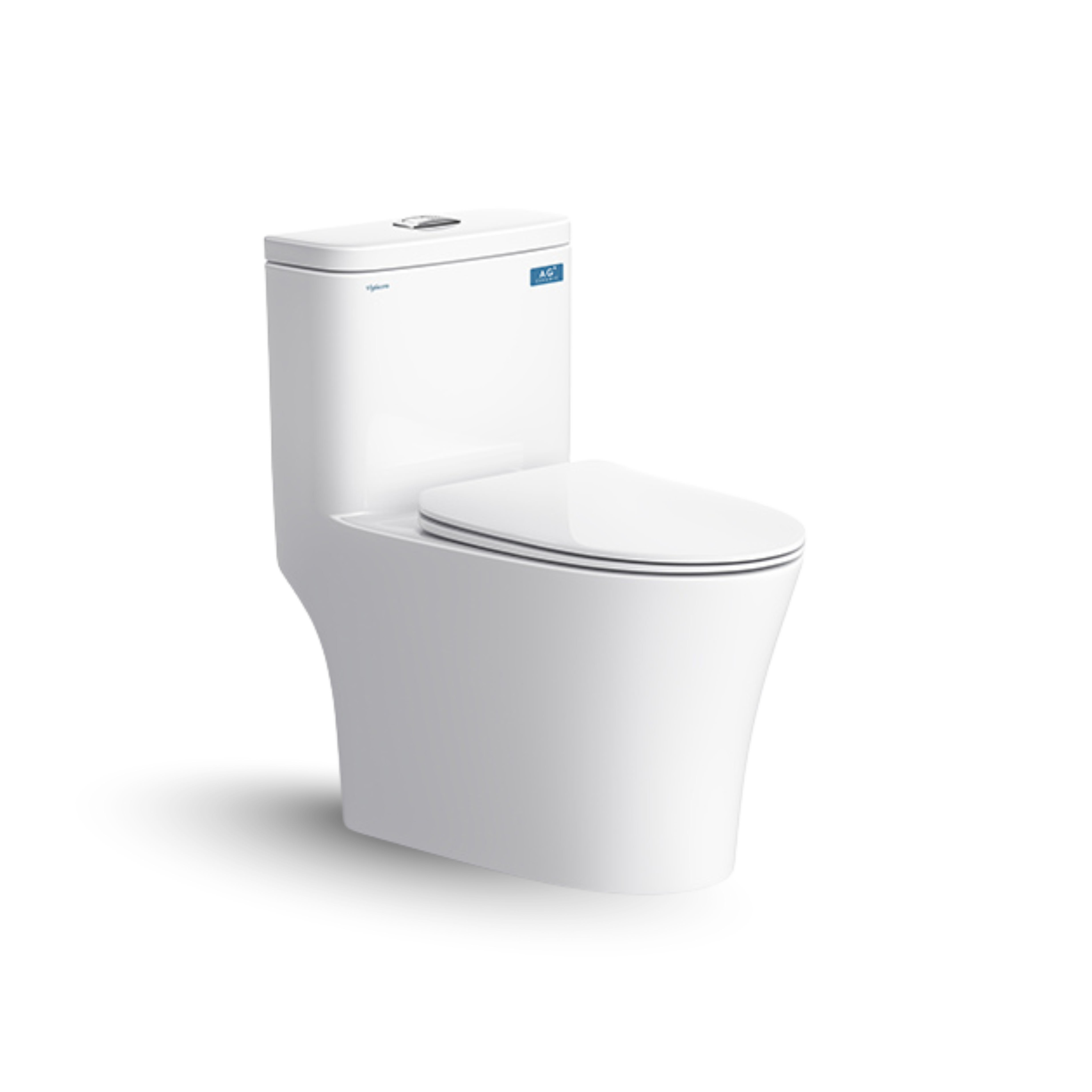 Bàn cầu một khối V63