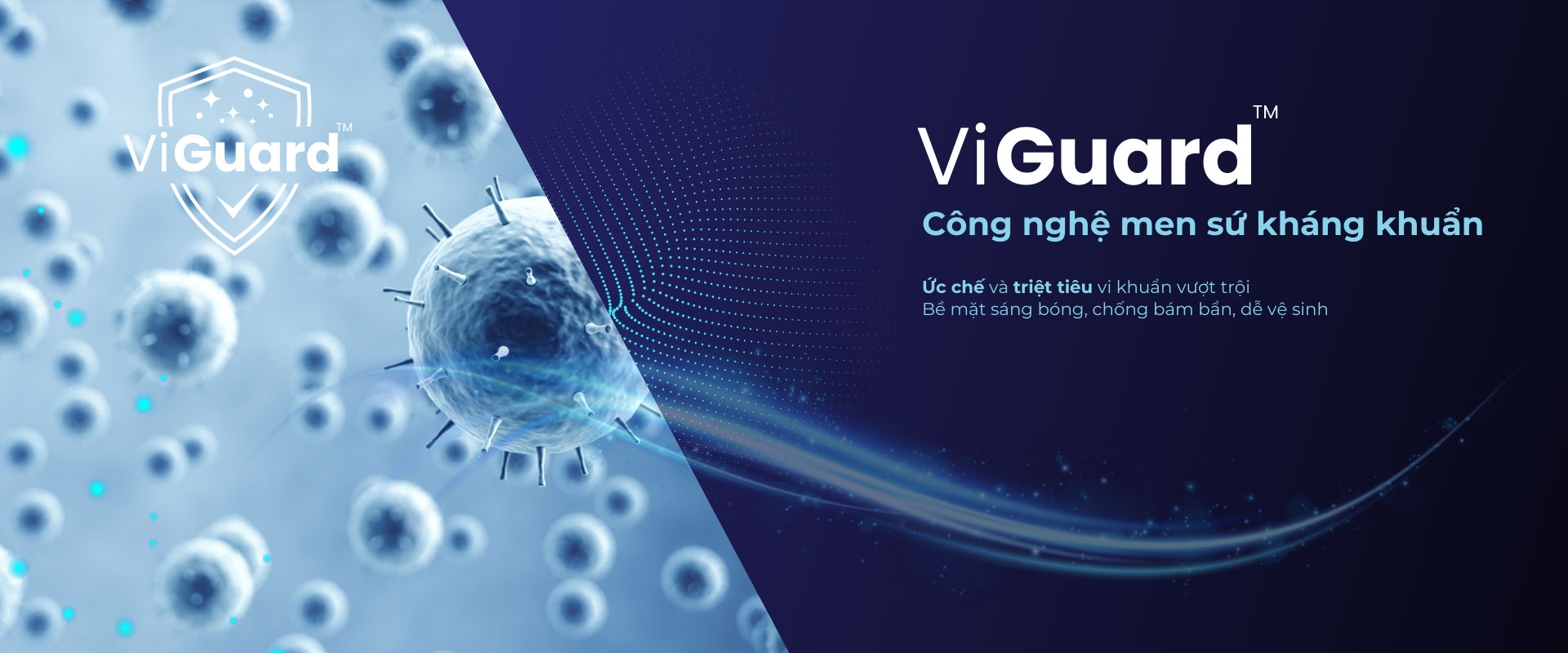 ViGuard