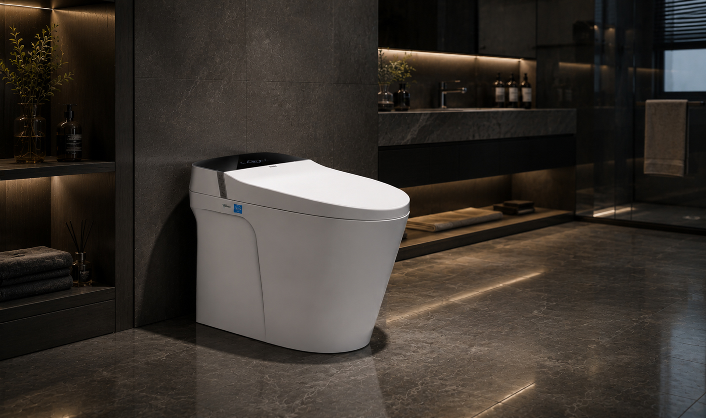 SMART TOILETS