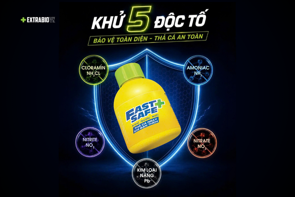 Fast & Safe - Dung Dịch Khử Nước Mới Giúp “Xử Lý” 5 Loại Độc Tố Vô Hình Trong Nước