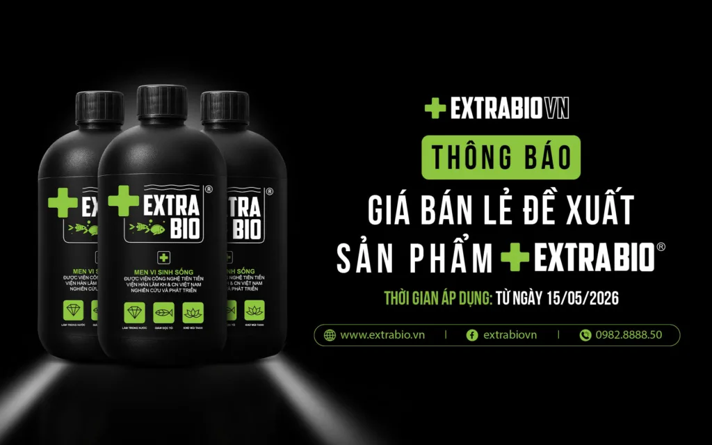 Giá bán lẻ đề xuất từ ngày 15/05/2026 đối với sản phẩm men vi sinh Extrabio