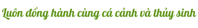 Title 1