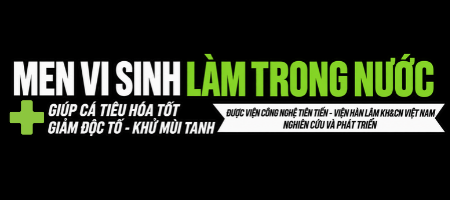 Tiêu đề 2