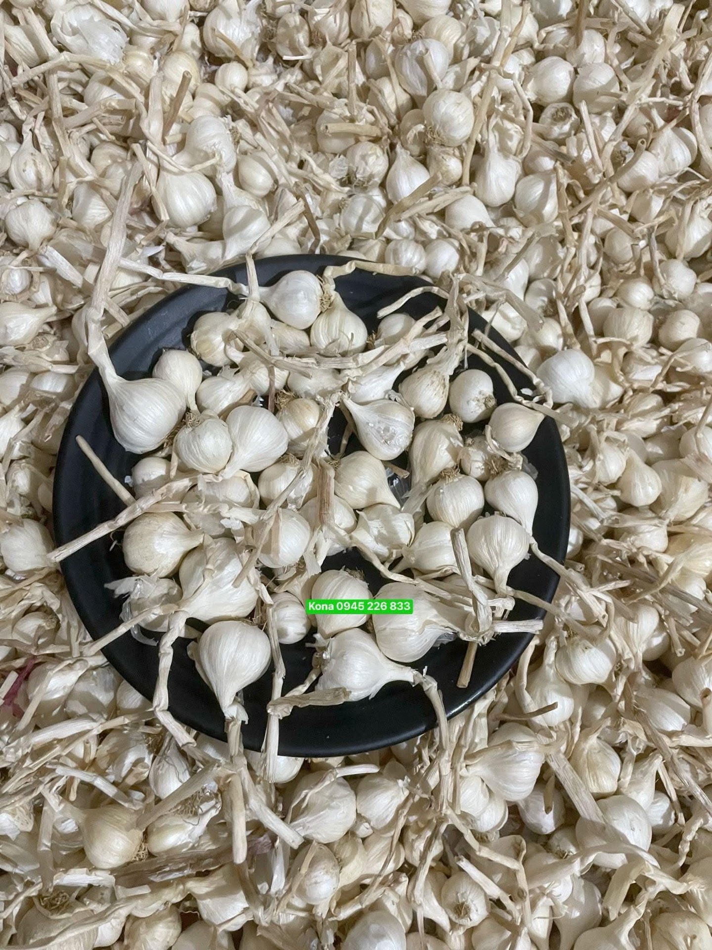Tỏi - Vườn Phù Sa Lý Sơn