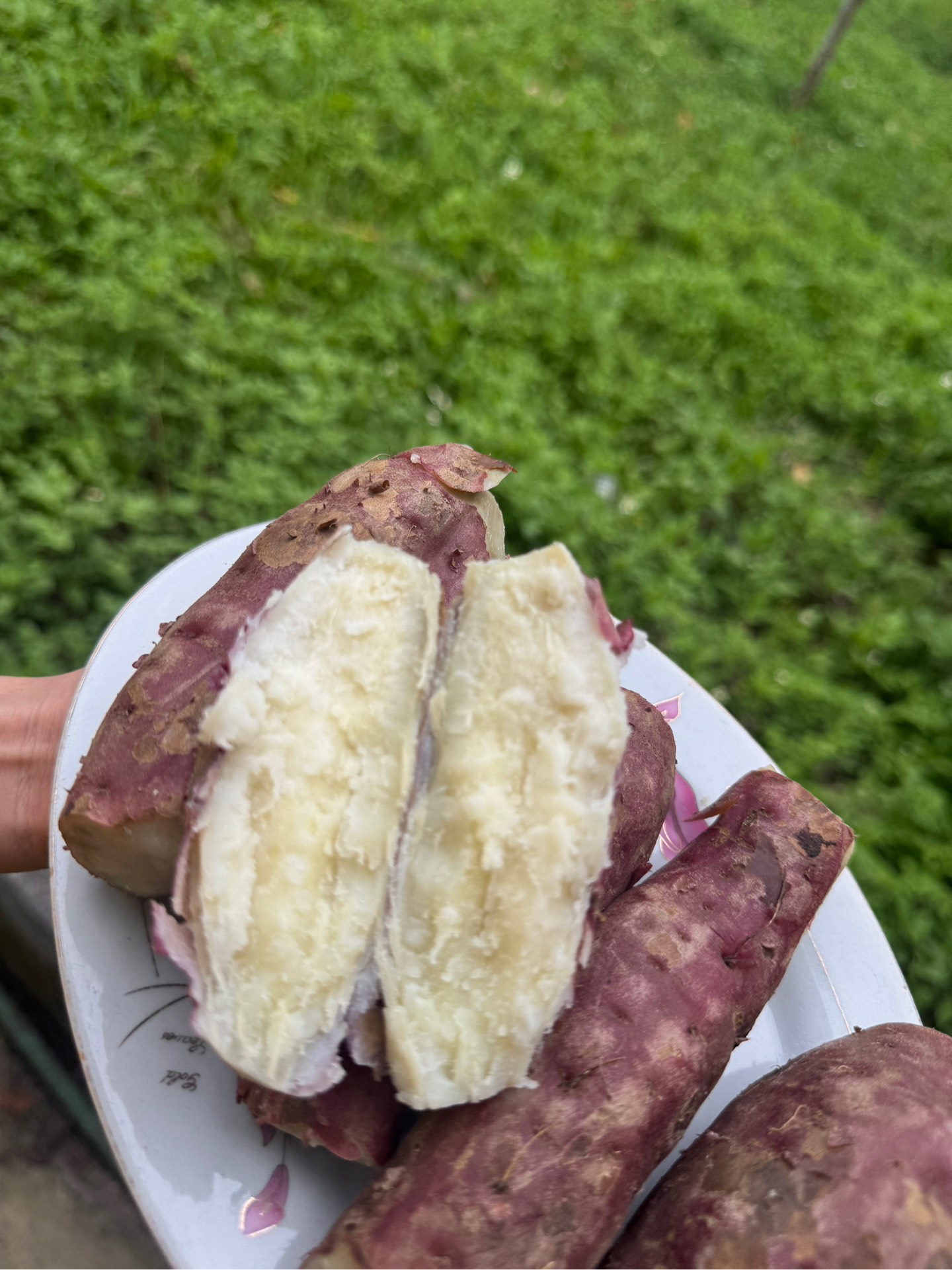 CHỈ BÁN TẠI HÀ NỘI - Combo khoai lang bở 4kg TẶNG 1kg