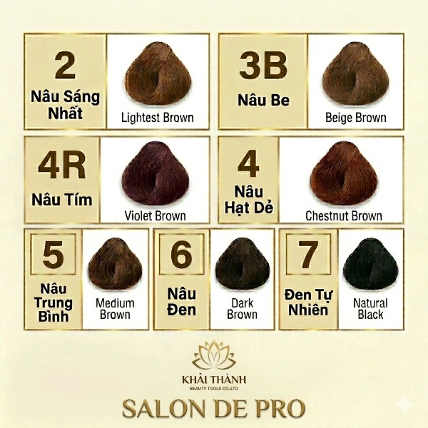Nhuộm Salon De Pro
