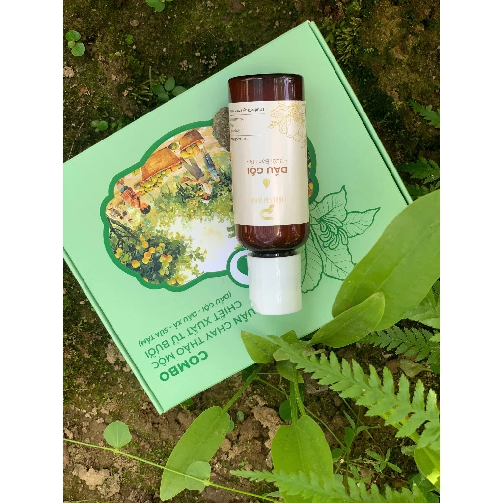 Combo thuần chay PGX - HMP