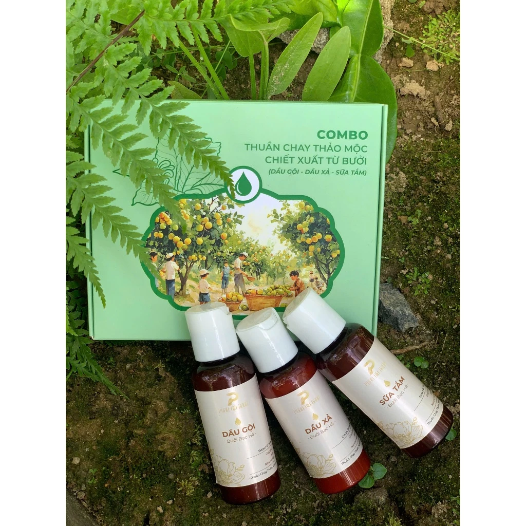 Combo thuần chay PGX - HMP