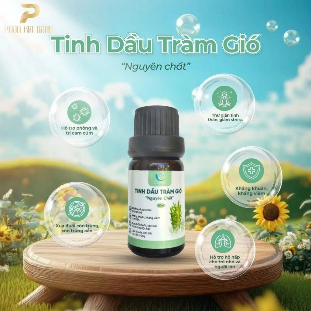 Tinh dầu tràm gió 10 ML HMP