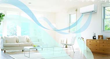 banner_coll_1_1_title