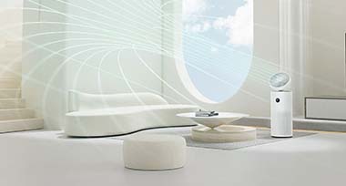 banner_coll_2_2_title