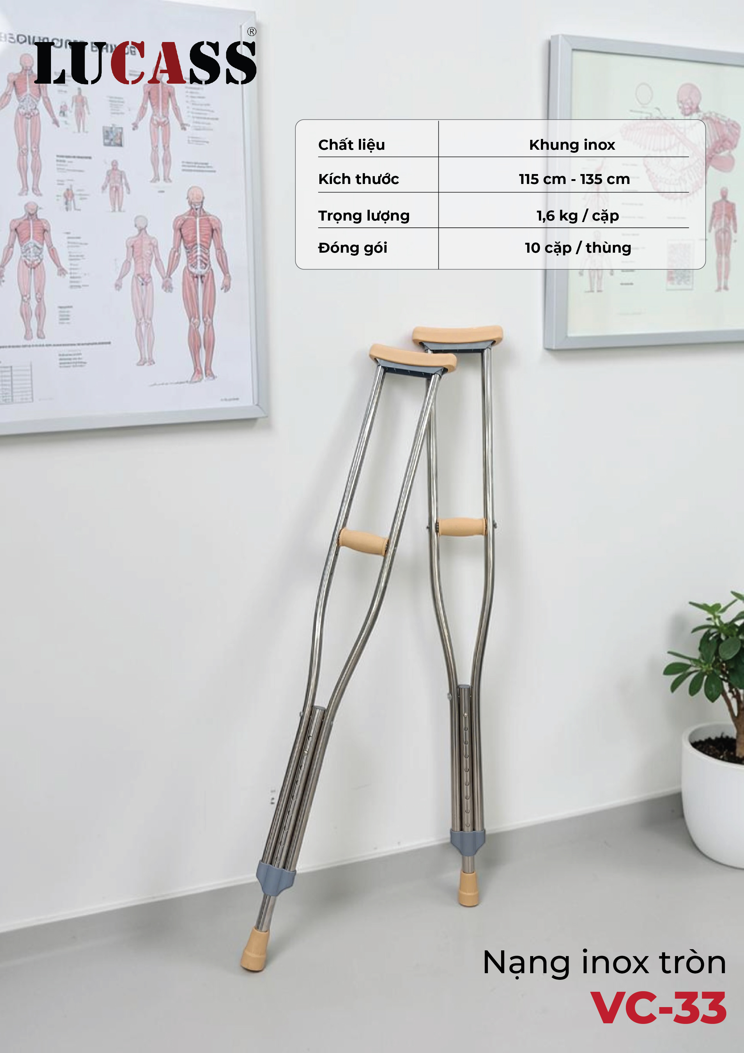Nạng Chống Tập Đi Lucass C-33