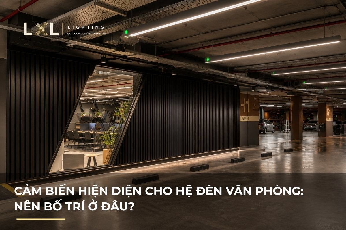 Nên đặt cảm biến hiện diện ở đâu trong văn phòng? | LXL Lighting