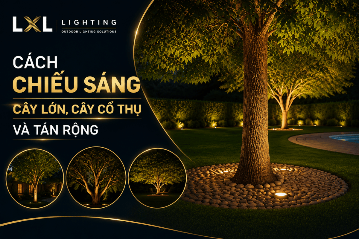 Cách chiếu sáng cây lớn, cây cổ thụ và tán rộng
