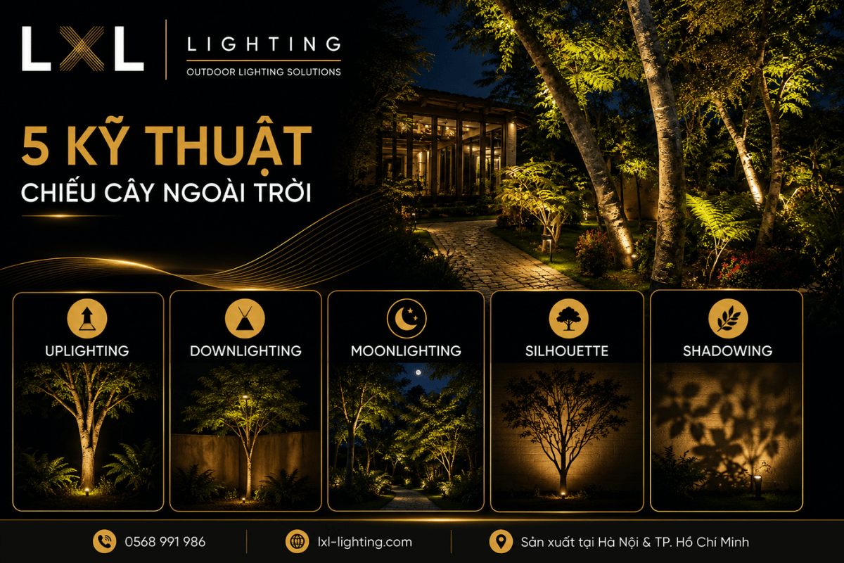 5 kỹ thuật chiếu cây: Uplighting, downlighting, moonlighting, silhouette và shadowing