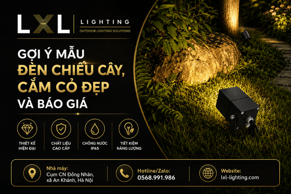 Cách Chiếu Sáng Cây Cảnh Đẹp Và Có Chiều Sâu