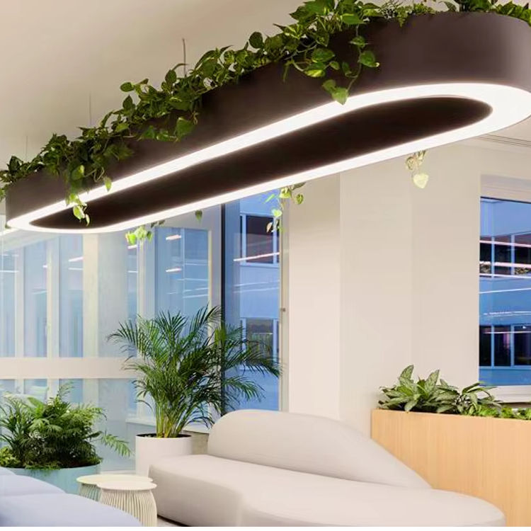 Đèn Thả Hình Oval trồng cây xanh