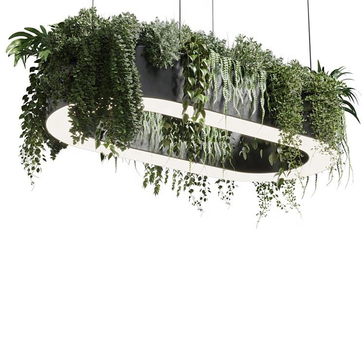 Đèn Thả Hình Oval trồng cây xanh
