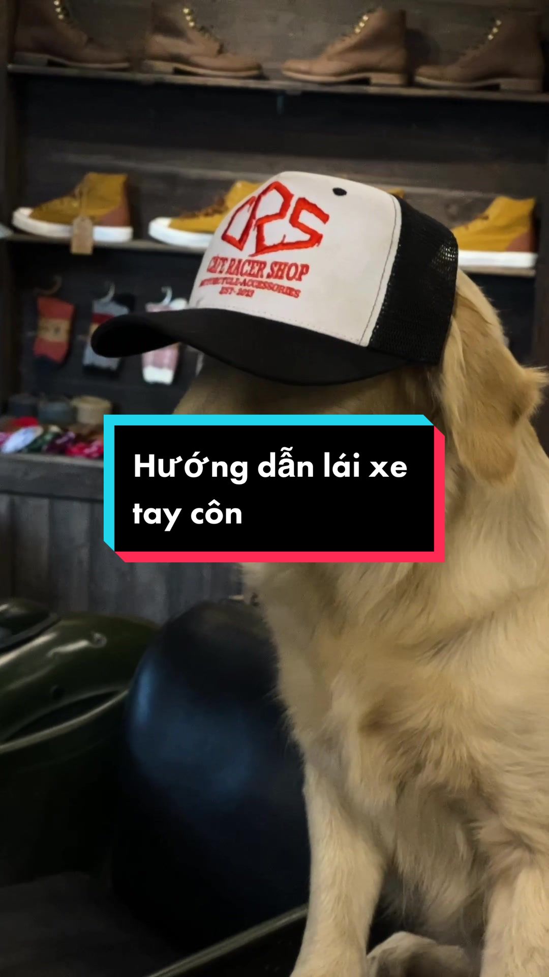 TikTok video