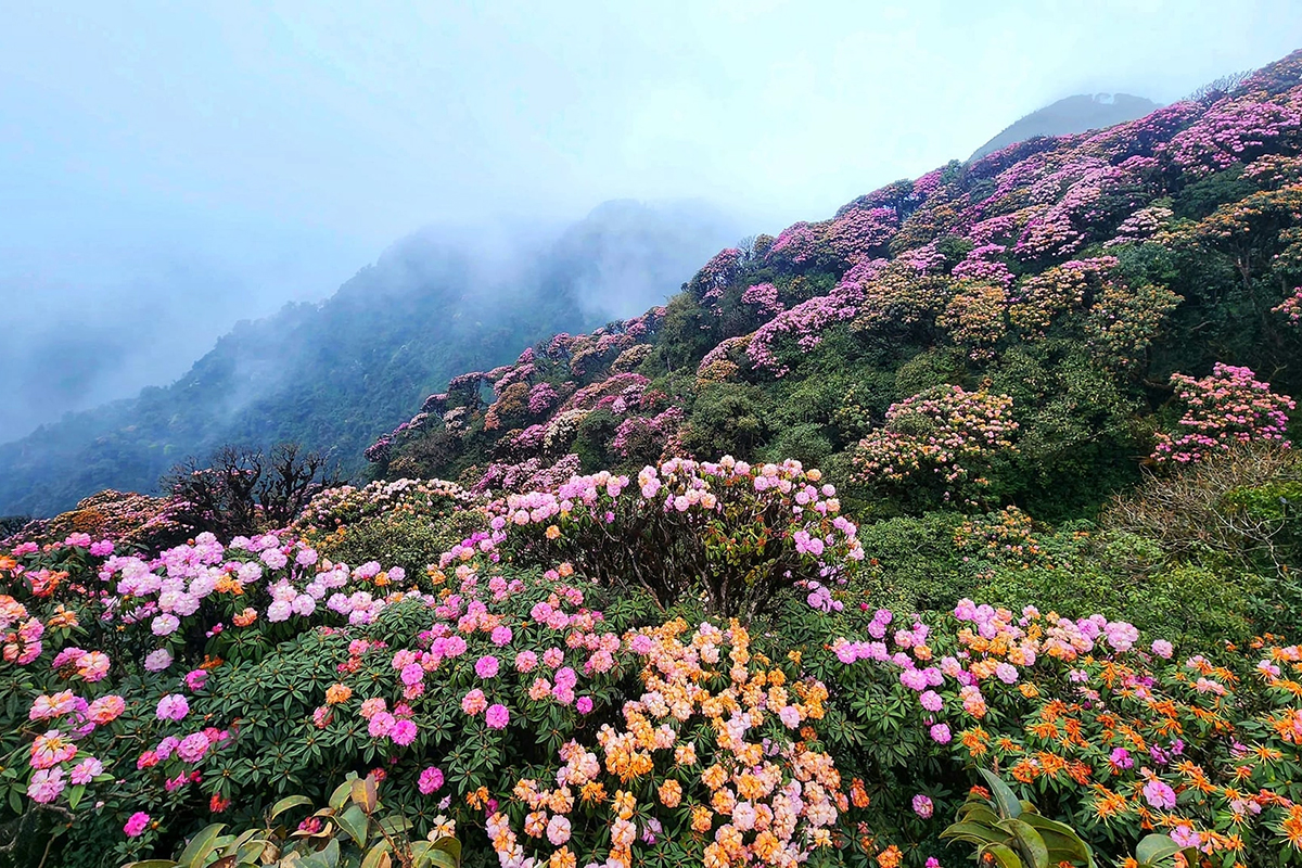 Pu Ta Leng: 3.049m
