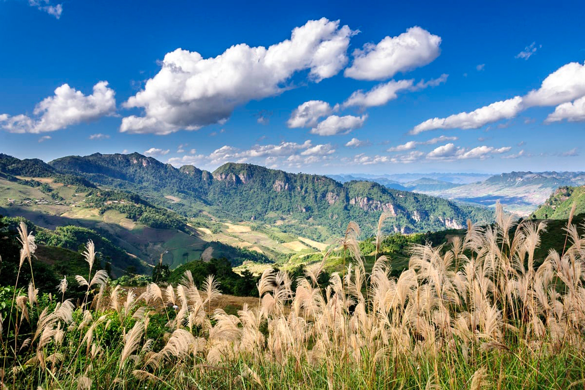 Pha Luông 1865m