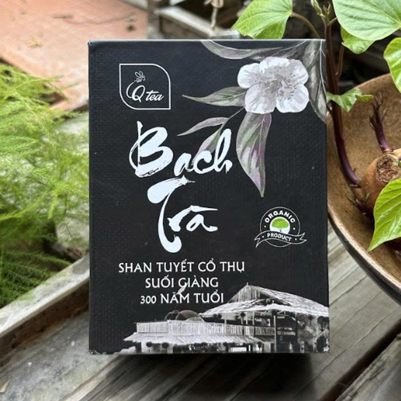 Bạch trà Shan Tuyết Cổ thụ Suối Giàng - Hộp giấy 50g