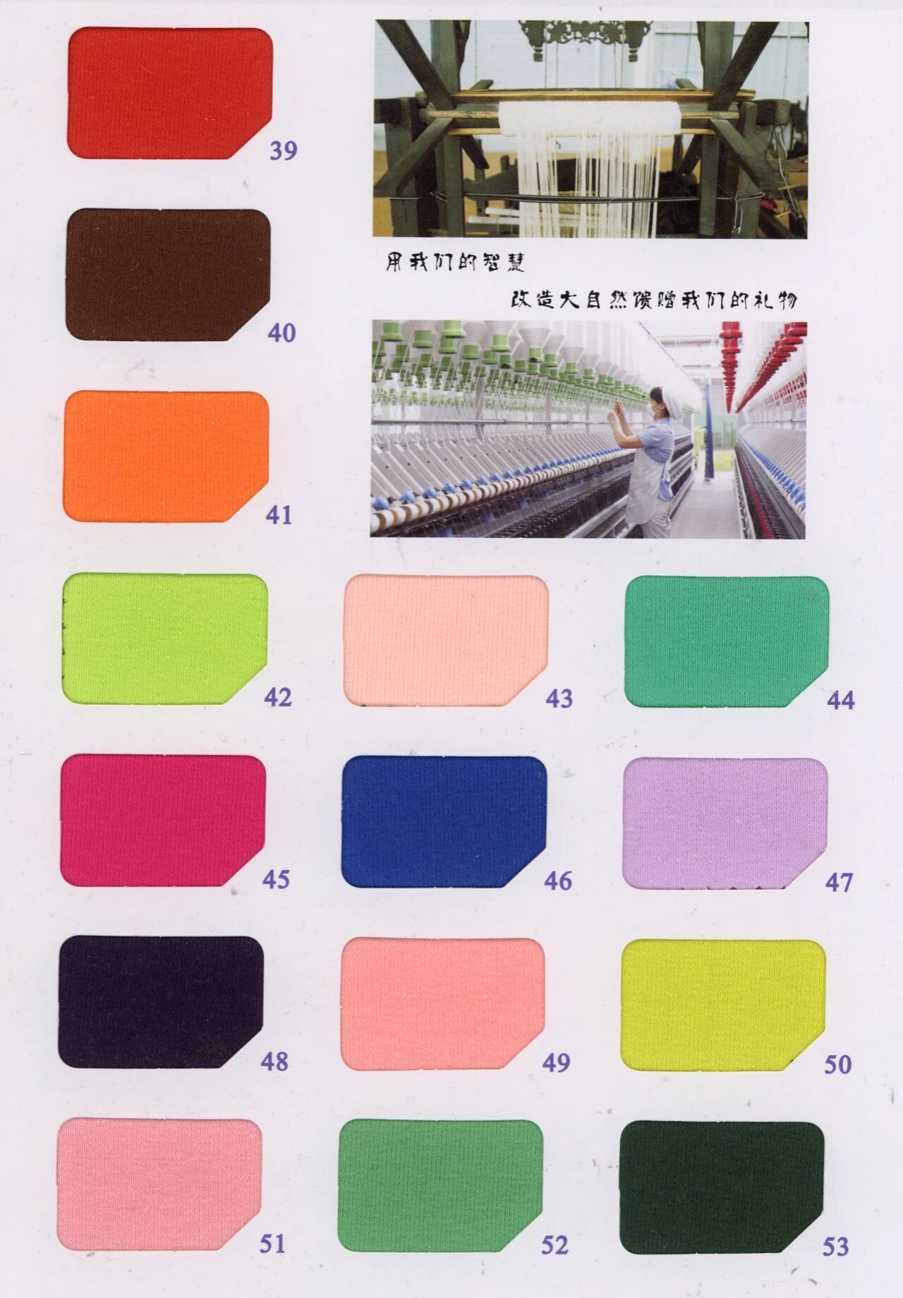 39176 - Cotton nỉ Premium-chải nhám 2 mặt (340gsm)