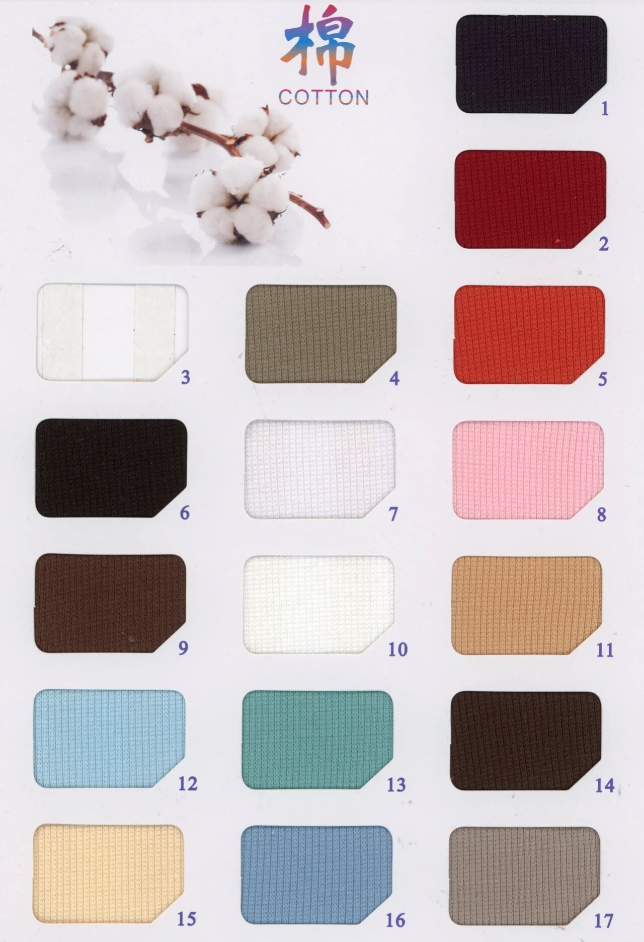 31007 - Borip Poly 2x2